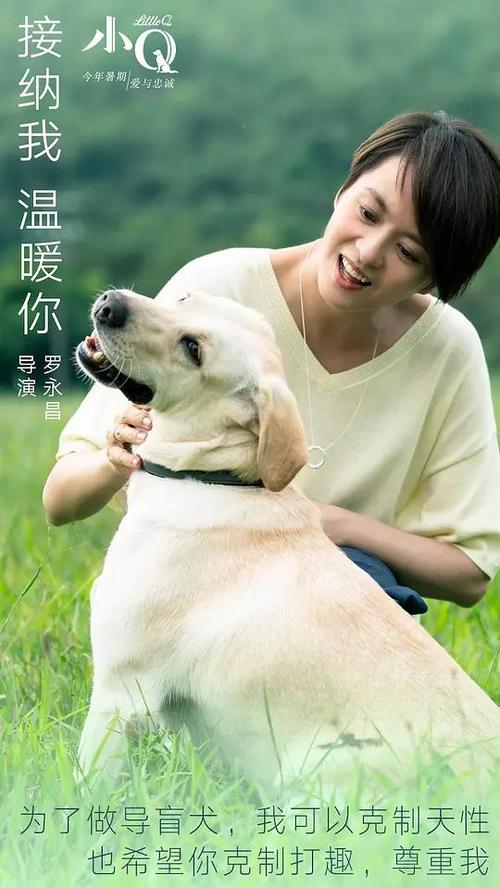 UserProfile:UniversityofIllinoisatUrbana-Champaign成绩单修改
